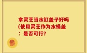 拿灵芝当水缸盖子好吗(使用灵芝作为水桶盖：是否可行？
