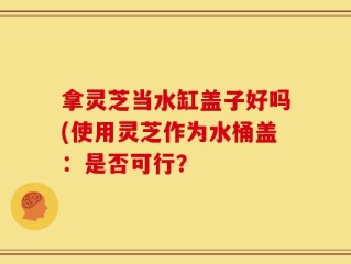 拿灵芝当水缸盖子好吗(使用灵芝作为水桶盖：是否可行？
