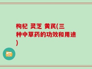枸杞 灵芝 黄芪(三种中草药的功效和用途)