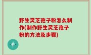 野生灵芝孢子粉怎么制作(制作野生灵芝孢子粉的方法及步骤)