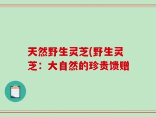 天然野生灵芝(野生灵芝：大自然的珍贵馈赠