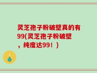 灵芝孢子粉破壁真的有99(灵芝孢子粉破壁，纯度达99！)