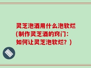 灵芝泡酒用什么泡软烂(制作灵芝酒的窍门：如何让灵芝泡软烂？)