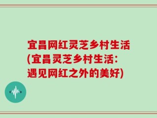 宜昌网红灵芝乡村生活(宜昌灵芝乡村生活：遇见网红之外的美好)