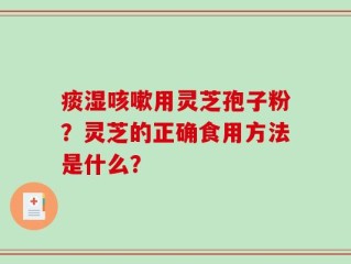 痰湿咳嗽用灵芝孢子粉？灵芝的正确食用方法是什么？
