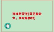 可观赏灵芝(灵芝益处大，多吃身体好)
