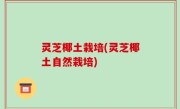 灵芝椰土栽培(灵芝椰土自然栽培)