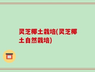 灵芝椰土栽培(灵芝椰土自然栽培)