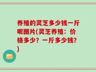 养殖的灵芝多少钱一斤呢图片(灵芝养殖：价格多少？一斤多少钱？)