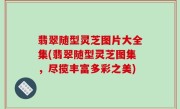 翡翠随型灵芝图片大全集(翡翠随型灵芝图集，尽揽丰富多彩之美)