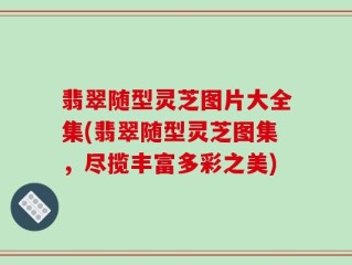 翡翠随型灵芝图片大全集(翡翠随型灵芝图集，尽揽丰富多彩之美)