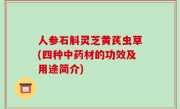 人参石斛灵芝黄芪虫草(四种中药材的功效及用途简介)