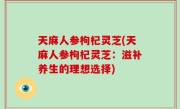 天麻人参枸杞灵芝(天麻人参枸杞灵芝：滋补养生的理想选择)