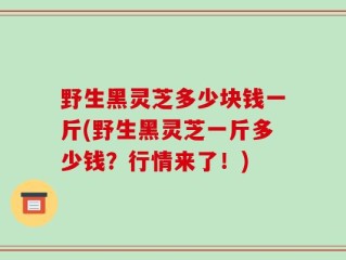 野生黑灵芝多少块钱一斤(野生黑灵芝一斤多少钱？行情来了！)
