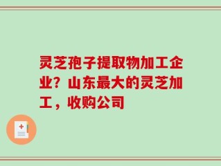 灵芝孢子提取物加工企业？山东最大的灵芝加工，收购公司