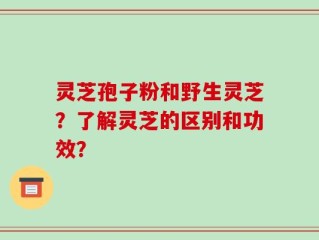 灵芝孢子粉和野生灵芝？了解灵芝的区别和功效？