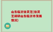 山东临沂徐灵芝(徐灵芝调研山东临沂市发展情况)