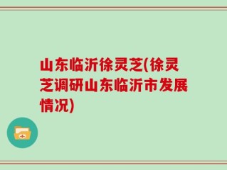 山东临沂徐灵芝(徐灵芝调研山东临沂市发展情况)