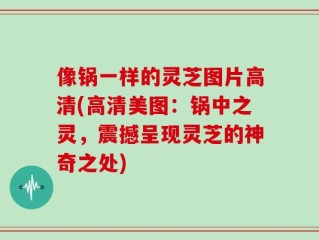 像锅一样的灵芝图片高清(高清美图：锅中之灵，震撼呈现灵芝的神奇之处)