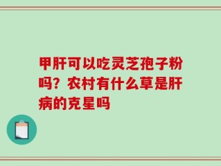 甲肝可以吃灵芝孢子粉吗？农村有什么草是肝病的克星吗