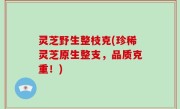 灵芝野生整枝克(珍稀灵芝原生整支，品质克重！)