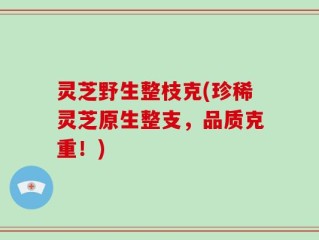 灵芝野生整枝克(珍稀灵芝原生整支，品质克重！)