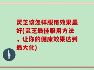 灵芝该怎样服用效果最好(灵芝最佳服用方法，让你的健康效果达到最大化)