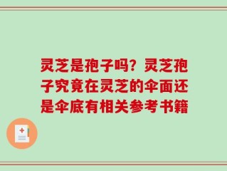 灵芝是孢子吗？灵芝孢子究竟在灵芝的伞面还是伞底有相关参考书籍
