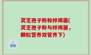 灵芝孢子粉和桦褐菌(灵芝孢子粉与桦褐菌，颗粒营养双管齐下)