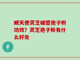 臧天使灵芝破壁孢子粉功效？灵芝孢子粉有什么好处