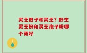 灵芝孢子和灵芝？野生灵芝粉和灵芝孢子粉哪个更好