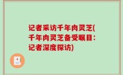 记者采访千年肉灵芝(千年肉灵芝备受瞩目：记者深度探访)
