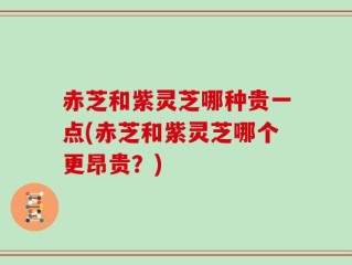 赤芝和紫灵芝哪种贵一点(赤芝和紫灵芝哪个更昂贵？)