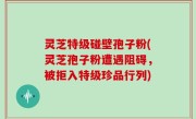 灵芝特级碰壁孢子粉(灵芝孢子粉遭遇阻碍，被拒入特级珍品行列)