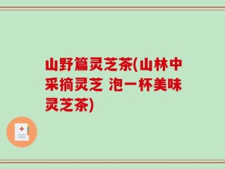 山野篇灵芝茶(山林中采摘灵芝 泡一杯美味灵芝茶)