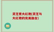 灵芝煮大红袍(灵芝与大红袍的完美融合)