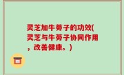 灵芝加牛蒡子的功效(灵芝与牛蒡子协同作用，改善健康。)