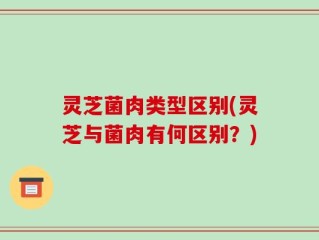 灵芝菌肉类型区别(灵芝与菌肉有何区别？)