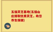 五福灵芝基地(五福山庄提取优质灵芝，助您养生保健)