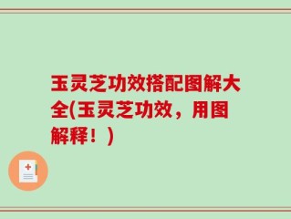 玉灵芝功效搭配图解大全(玉灵芝功效，用图解释！)