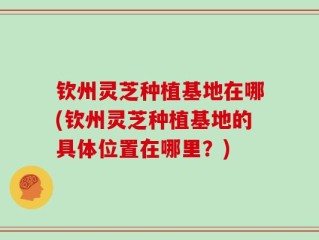 钦州灵芝种植基地在哪(钦州灵芝种植基地的具体位置在哪里？)