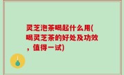 灵芝泡茶喝起什么用(喝灵芝茶的好处及功效，值得一试)