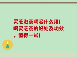 灵芝泡茶喝起什么用(喝灵芝茶的好处及功效，值得一试)