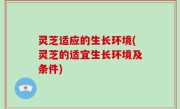 灵芝适应的生长环境(灵芝的适宜生长环境及条件)