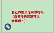自己养的灵芝可以吃吗 (自己种的灵芝可以食用吗？)