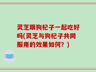 灵芝跟狗杞子一起吃好吗(灵芝与狗杞子共同服用的效果如何？)