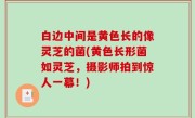 白边中间是黄色长的像灵芝的菌(黄色长形菌如灵芝，摄影师拍到惊人一幕！)