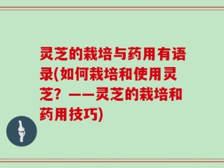 灵芝的栽培与药用有语录(如何栽培和使用灵芝？——灵芝的栽培和药用技巧)