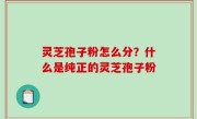 灵芝孢子粉怎么分？什么是纯正的灵芝孢子粉