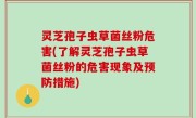 灵芝孢子虫草菌丝粉危害(了解灵芝孢子虫草菌丝粉的危害现象及预防措施)